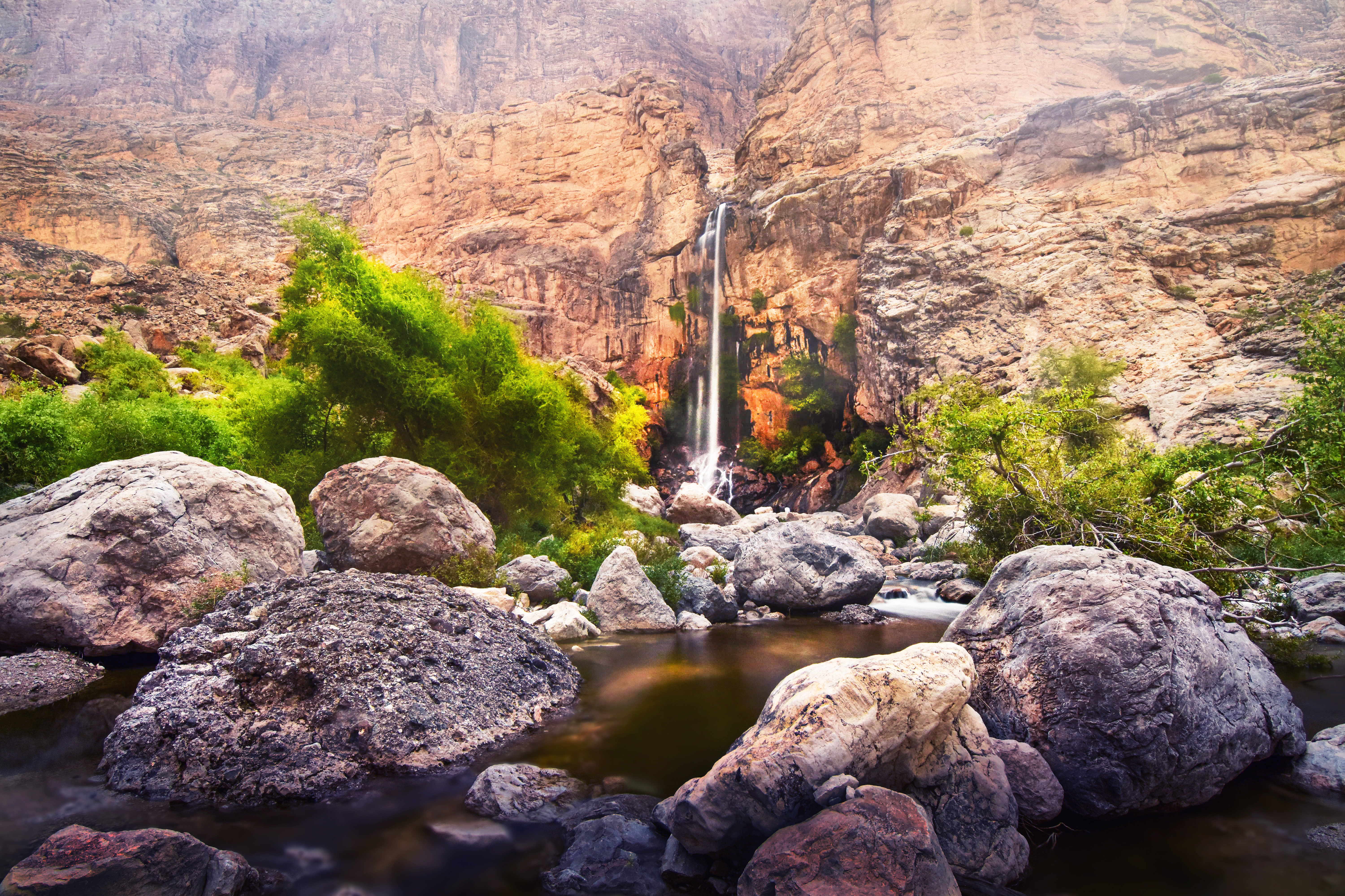 Al Dahirah Governorate