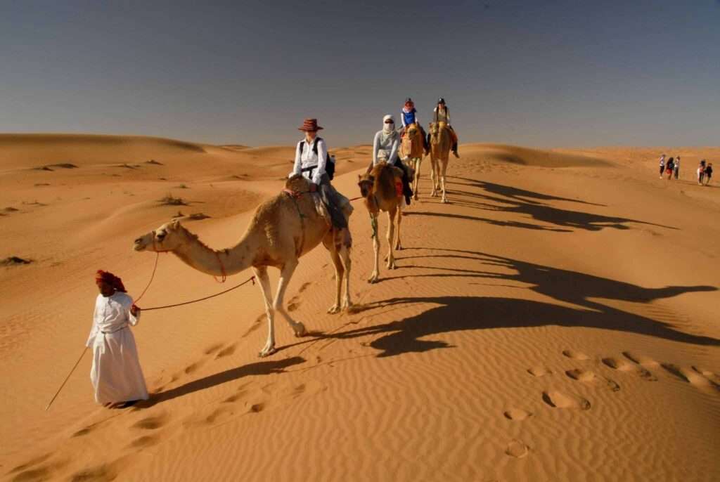 Image for Camel Riding 12