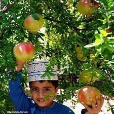 Dhofar 3