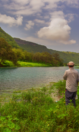 إنتاج الأفلام