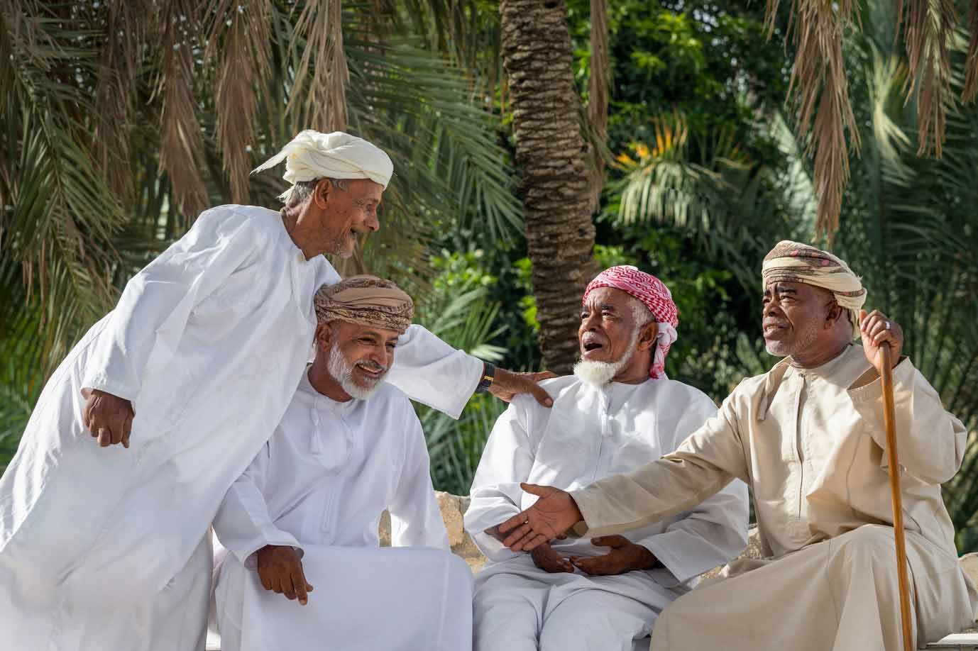 Image for Camel Riding71