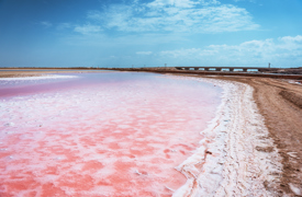 The Pink Beaches