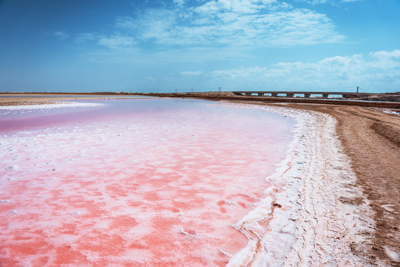 The Pink Beaches