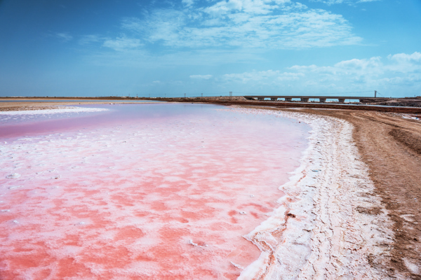 The Pink Beaches